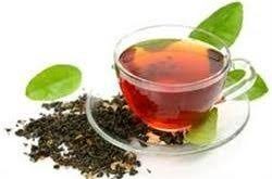 فروش چای شمال با بهترین قیمت بازار