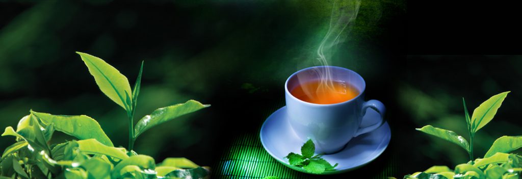 چای ایرانی ارگانیک