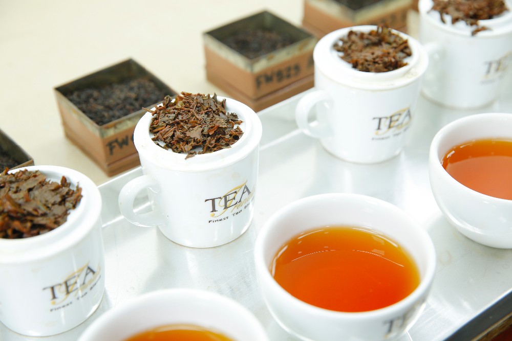 فروش چای سیاه لاهیجان