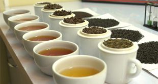 بازار چای ایرانی