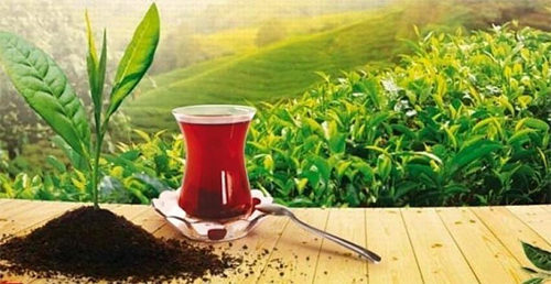صادرات انواع چای سیاه و سبز ایرانی
