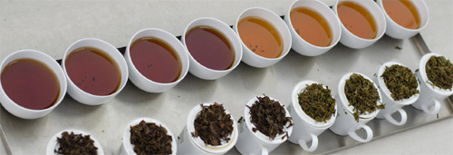 فروش چای سیاه شمال