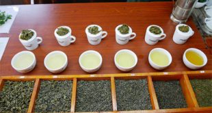 چای سبز صادراتی