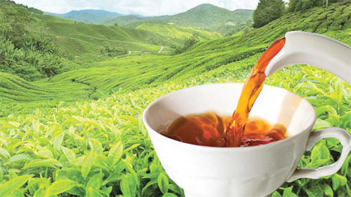 قیمت چای داخلی