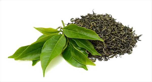 چای سبز گیلان